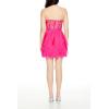 Forever 21 Women’s Lace & Tulle Bustier Mini Dress(Hot Pink)